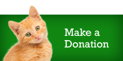 Donation Shamrock Pets