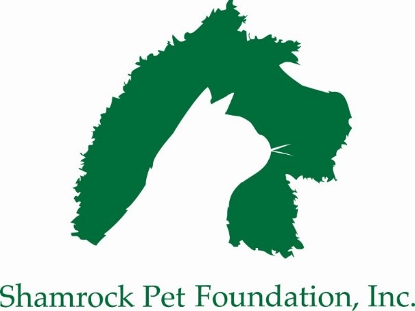Shamrock Pet Foundation  Adopt, Spay/Neuter & Volunteer