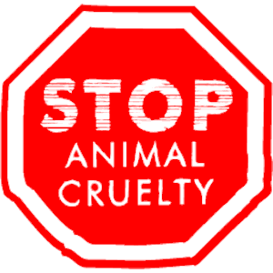 Animal Abuse Offender Registry - Shamrock Pet Foundation